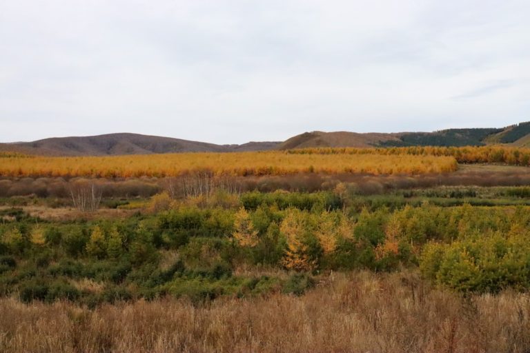 Exploring Eco-Friendly Outdoor Travel: A Sustainable Adventure